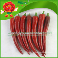 green and red fresh pepper Frozen transportation spicy red chilli